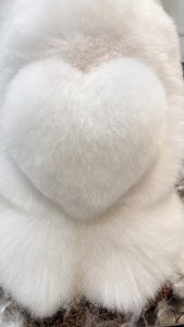 ダウンロード (1)